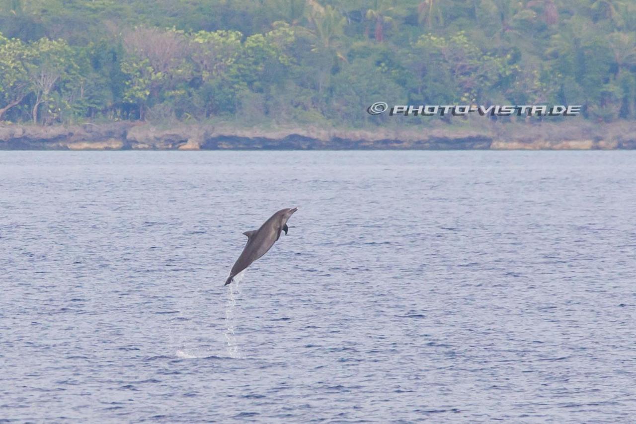 Отель Camotes Eden Himensulan Экстерьер фото